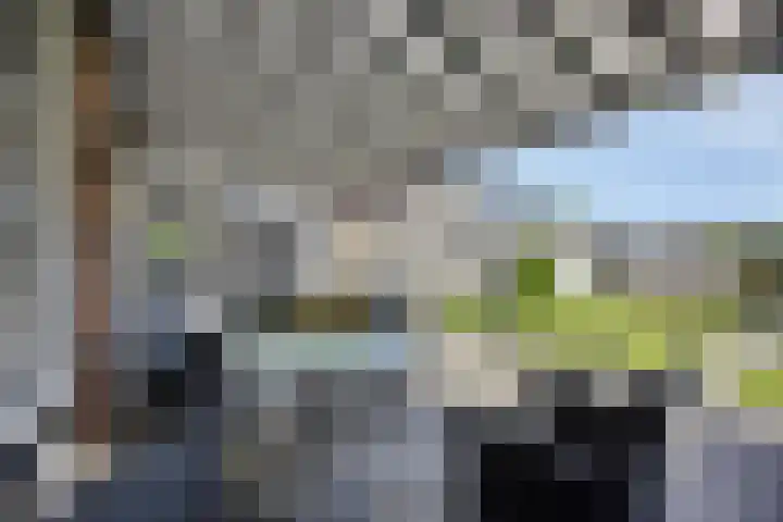 Wilgenbeemd 12 Assen thumbnail 25