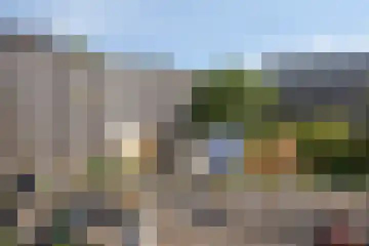 Wilgenbeemd 12 Assen thumbnail 27