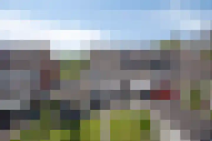 Wilgenbeemd 12 Assen thumbnail 28