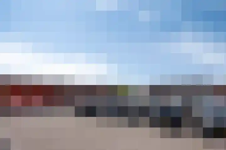 Wilgenbeemd 12 Assen thumbnail 29
