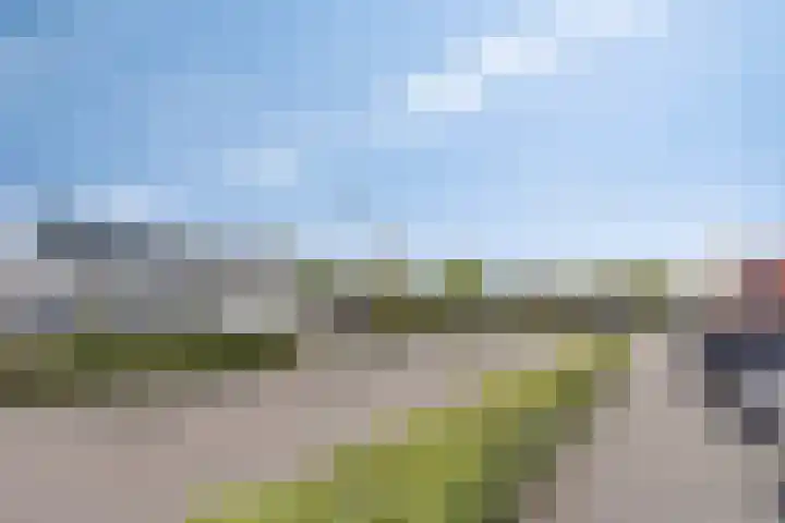 Wilgenbeemd 12 Assen thumbnail 30