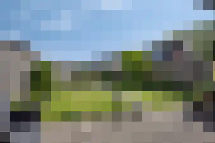 Wilgenbeemd 12 Assen thumbnail 4