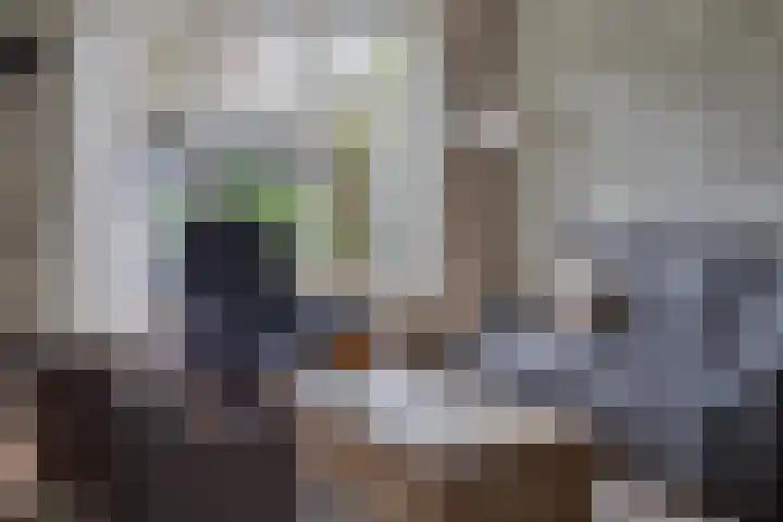 Wilgenbeemd 22 Assen thumbnail 12