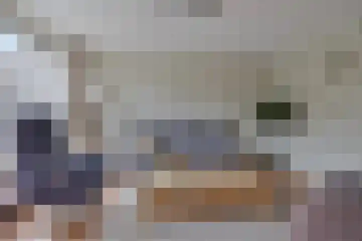 Wilgenbeemd 22 Assen thumbnail 13