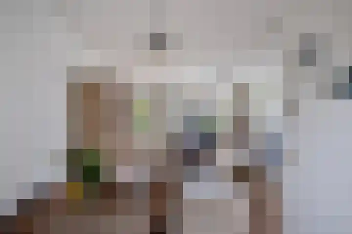 Wilgenbeemd 22 Assen thumbnail 18