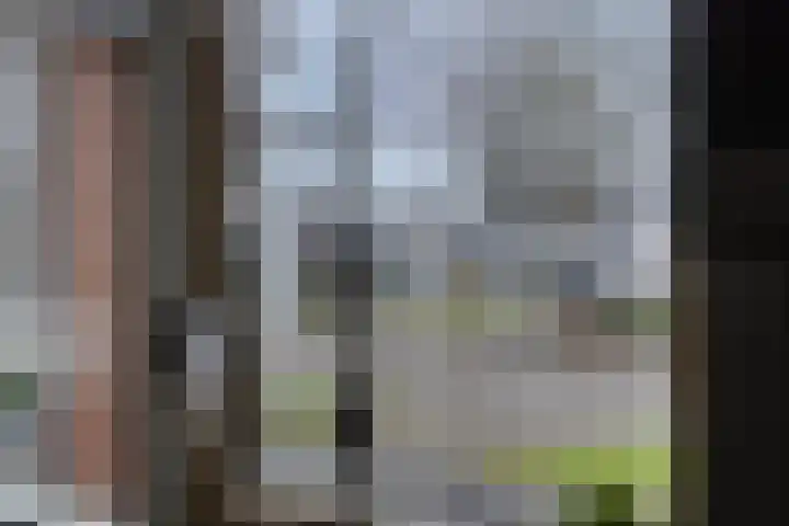 Wilgenbeemd 22 Assen thumbnail 22