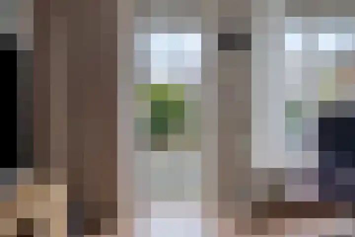 Wilgenbeemd 22 Assen thumbnail 23