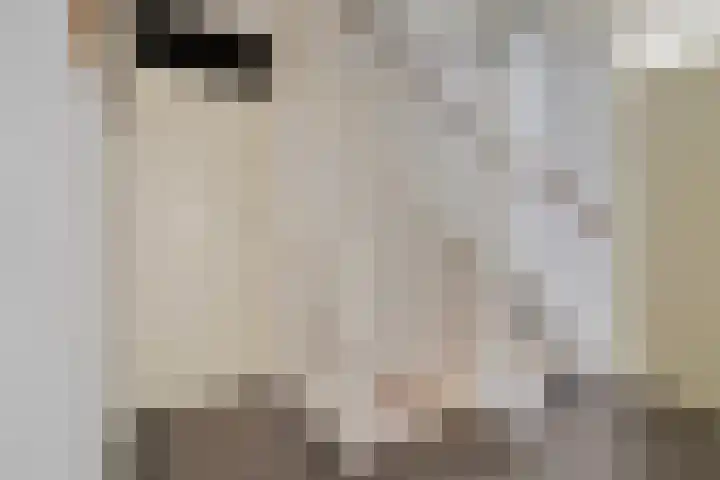 Wilgenbeemd 22 Assen thumbnail 24