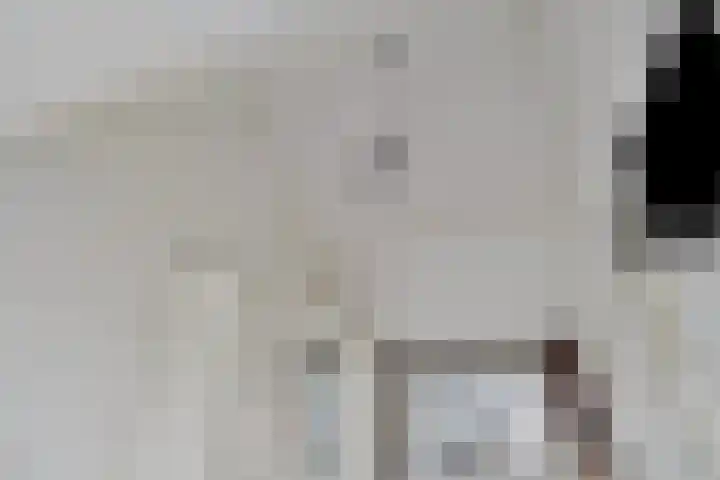 Wilgenbeemd 22 Assen thumbnail 28
