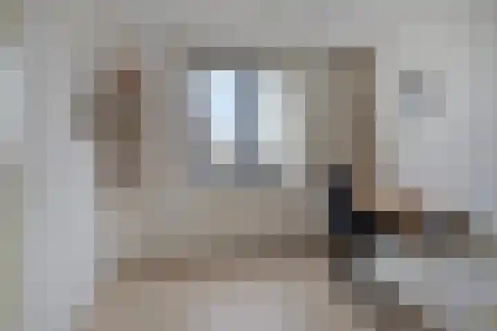 Wilgenbeemd 22 Assen thumbnail 35