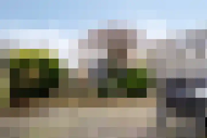 Wilgenbeemd 22 Assen thumbnail 38