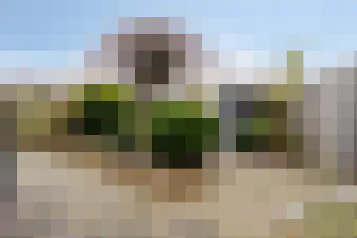 Wilgenbeemd 22 Assen thumbnail 39
