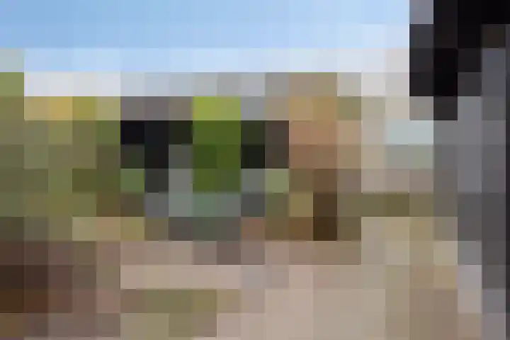 Wilgenbeemd 22 Assen thumbnail 40