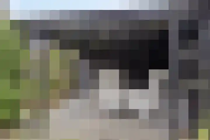 Wilgenbeemd 22 Assen thumbnail 41