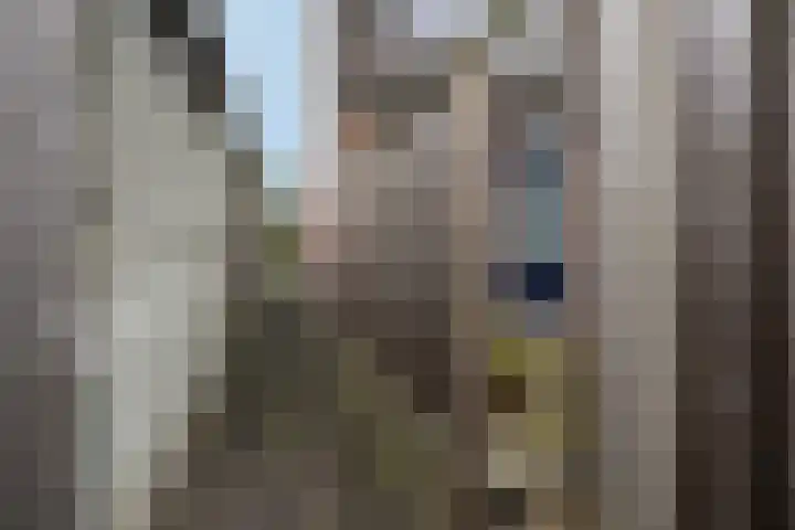 Wilgenbeemd 22 Assen thumbnail 44