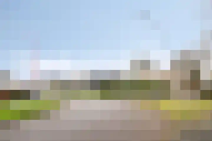 Wilgenbeemd 22 Assen thumbnail 47