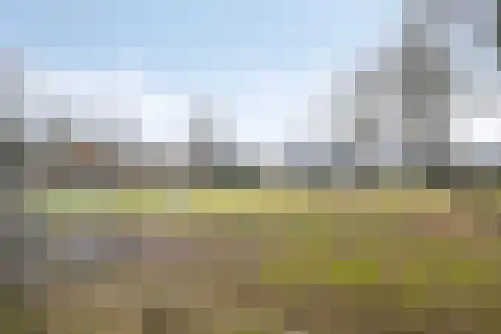 Wilgenbeemd 22 Assen thumbnail 48