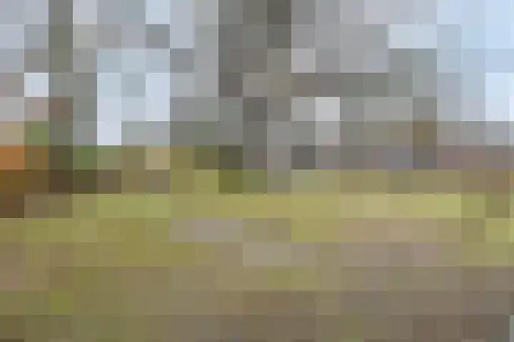 Wilgenbeemd 22 Assen thumbnail 50