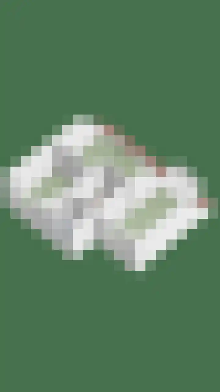 Wilgenbeemd 22 Assen thumbnail 58