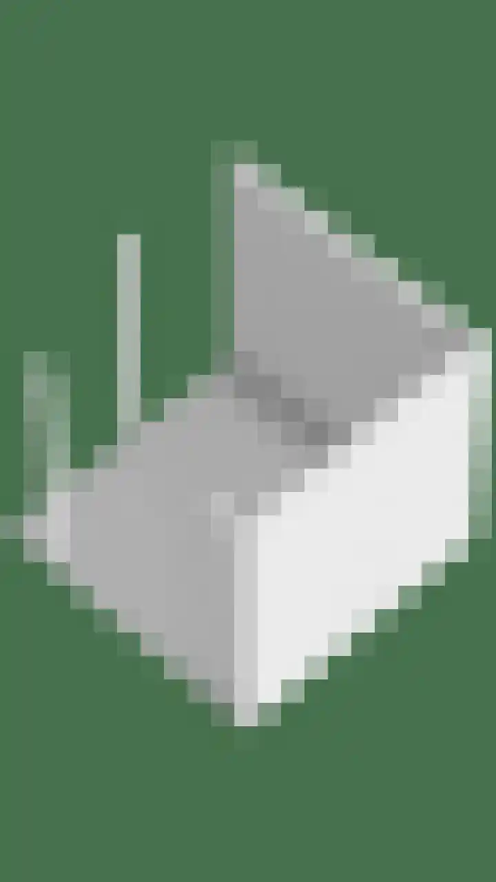 Wilgenbeemd 22 Assen thumbnail 61