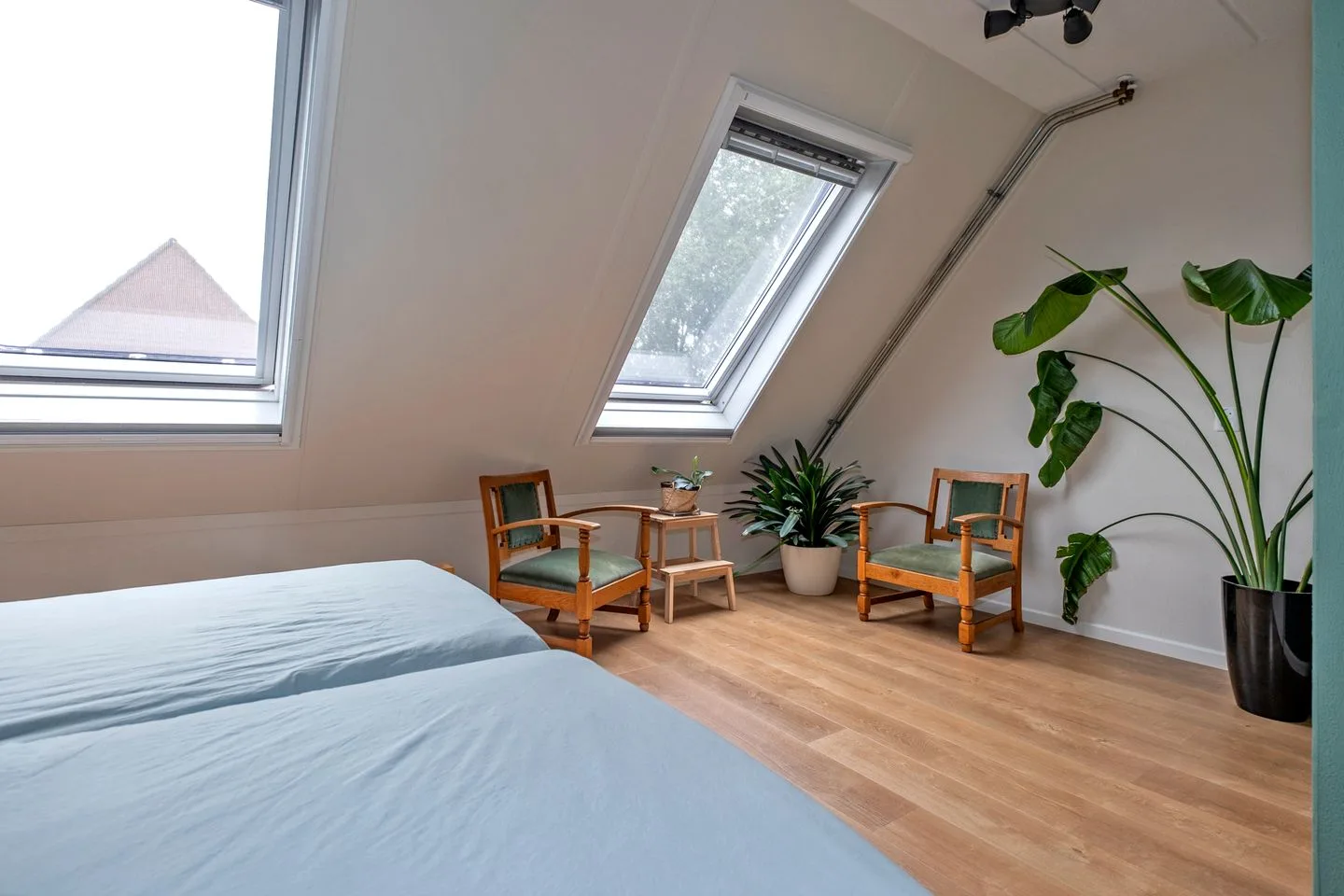 Wilgenbeemd 4 Assen thumbnail 22