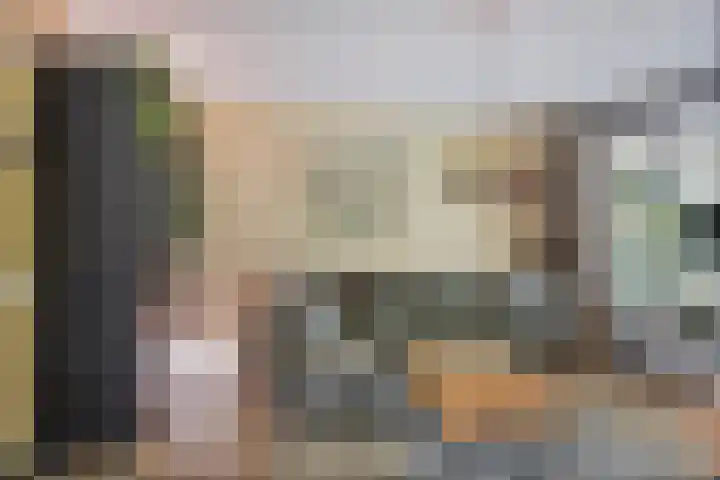 Wilgenbeemd 40 Assen thumbnail 10