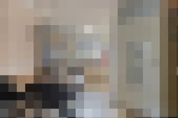 Wilgenbeemd 40 Assen thumbnail 12