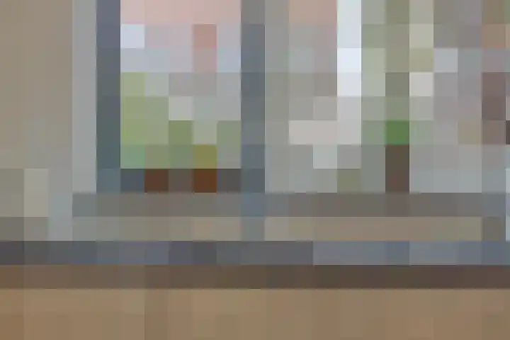 Wilgenbeemd 40 Assen thumbnail 15