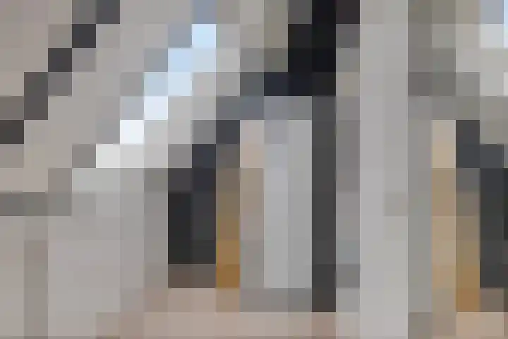Wilgenbeemd 40 Assen thumbnail 25