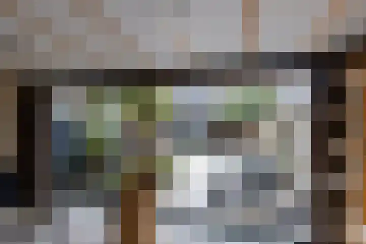 Wilgenbeemd 40 Assen thumbnail 28