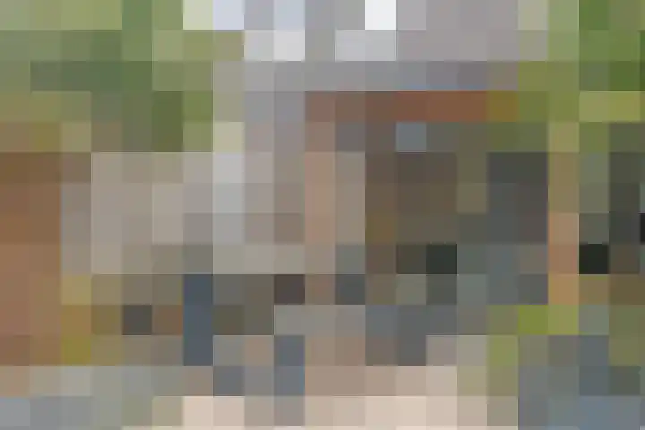 Wilgenbeemd 40 Assen thumbnail 29
