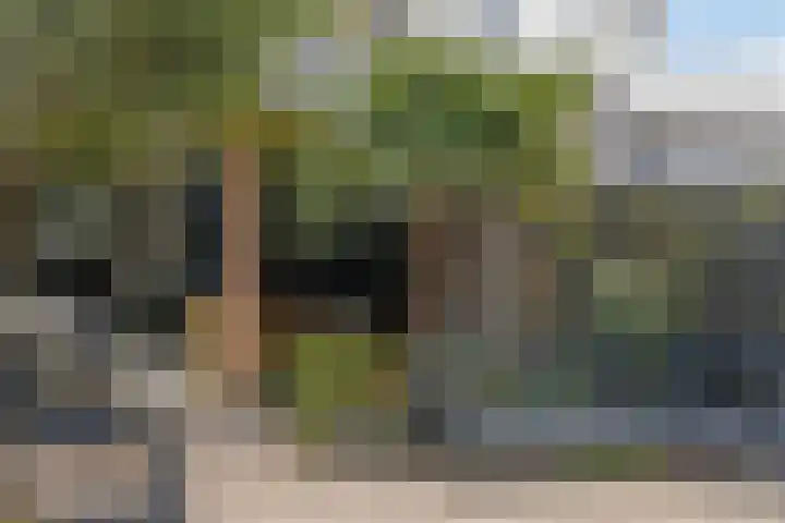 Wilgenbeemd 40 Assen thumbnail 30