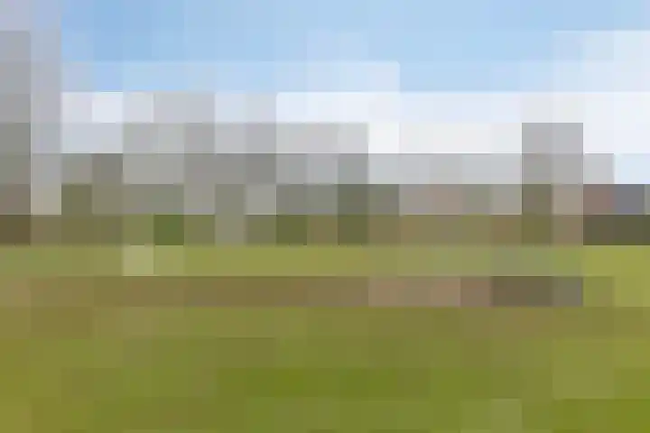 Wilgenbeemd 40 Assen thumbnail 35