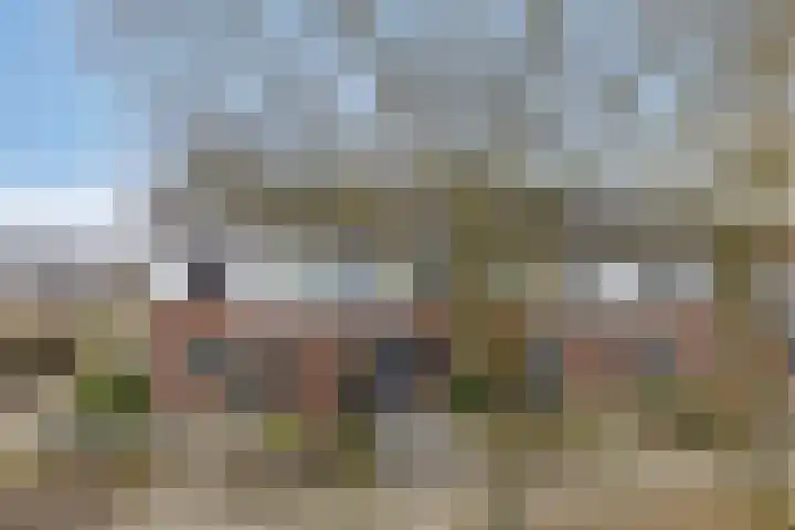 Wilgenbeemd 40 Assen thumbnail 5