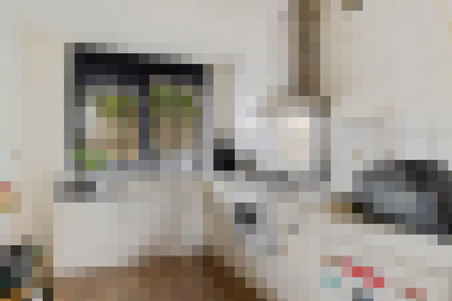 Wilgenbeemd 90 Assen thumbnail 13
