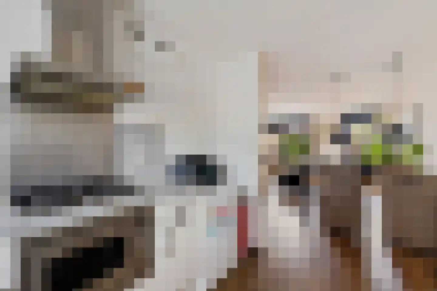 Wilgenbeemd 90 Assen thumbnail 14