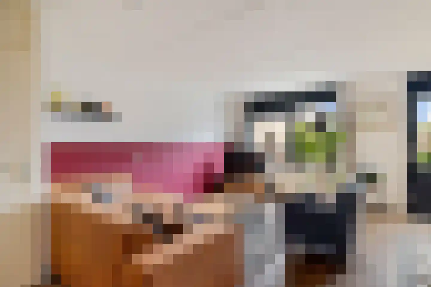 Wilgenbeemd 90 Assen thumbnail 15