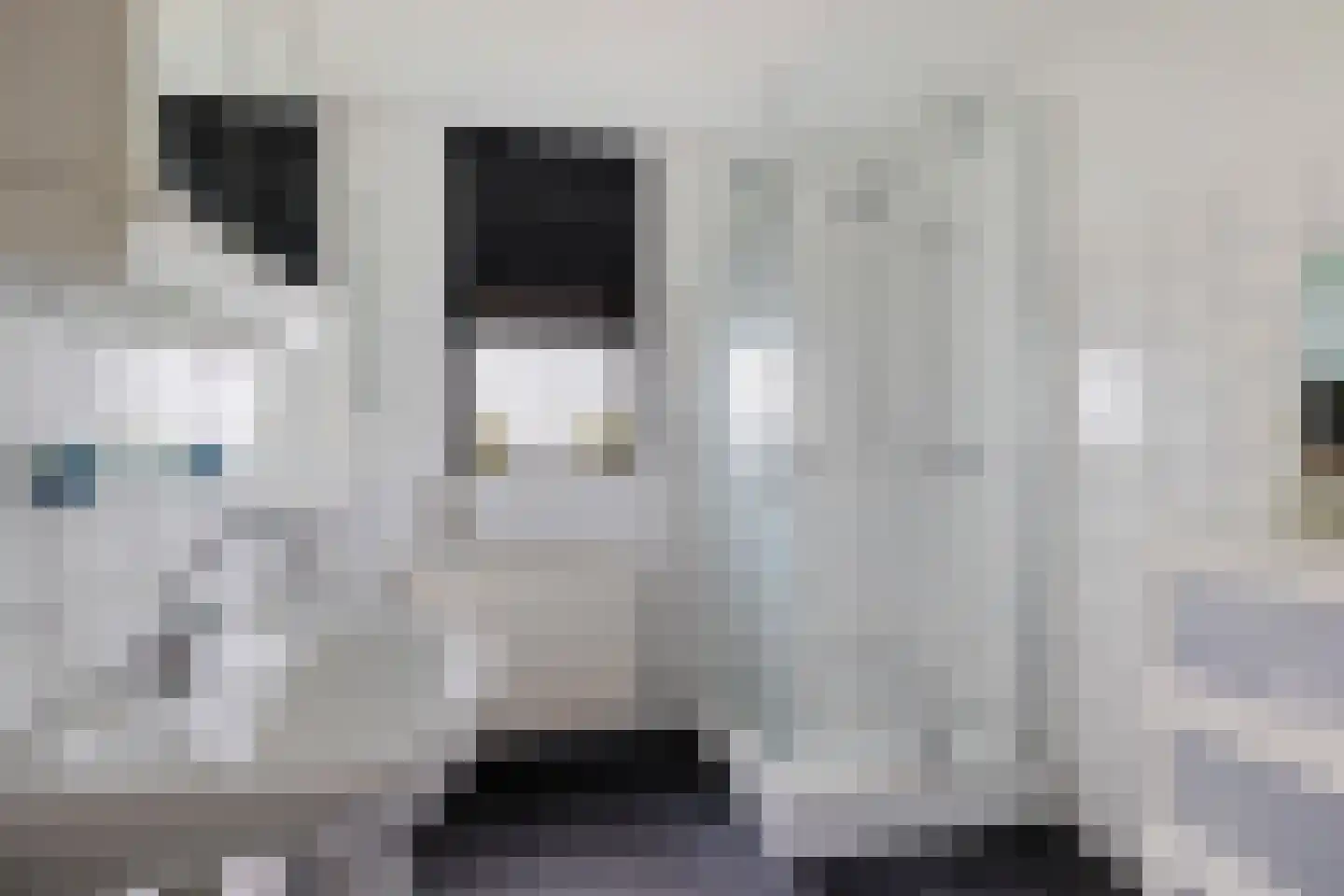 Wilgenbeemd 90 Assen thumbnail 25