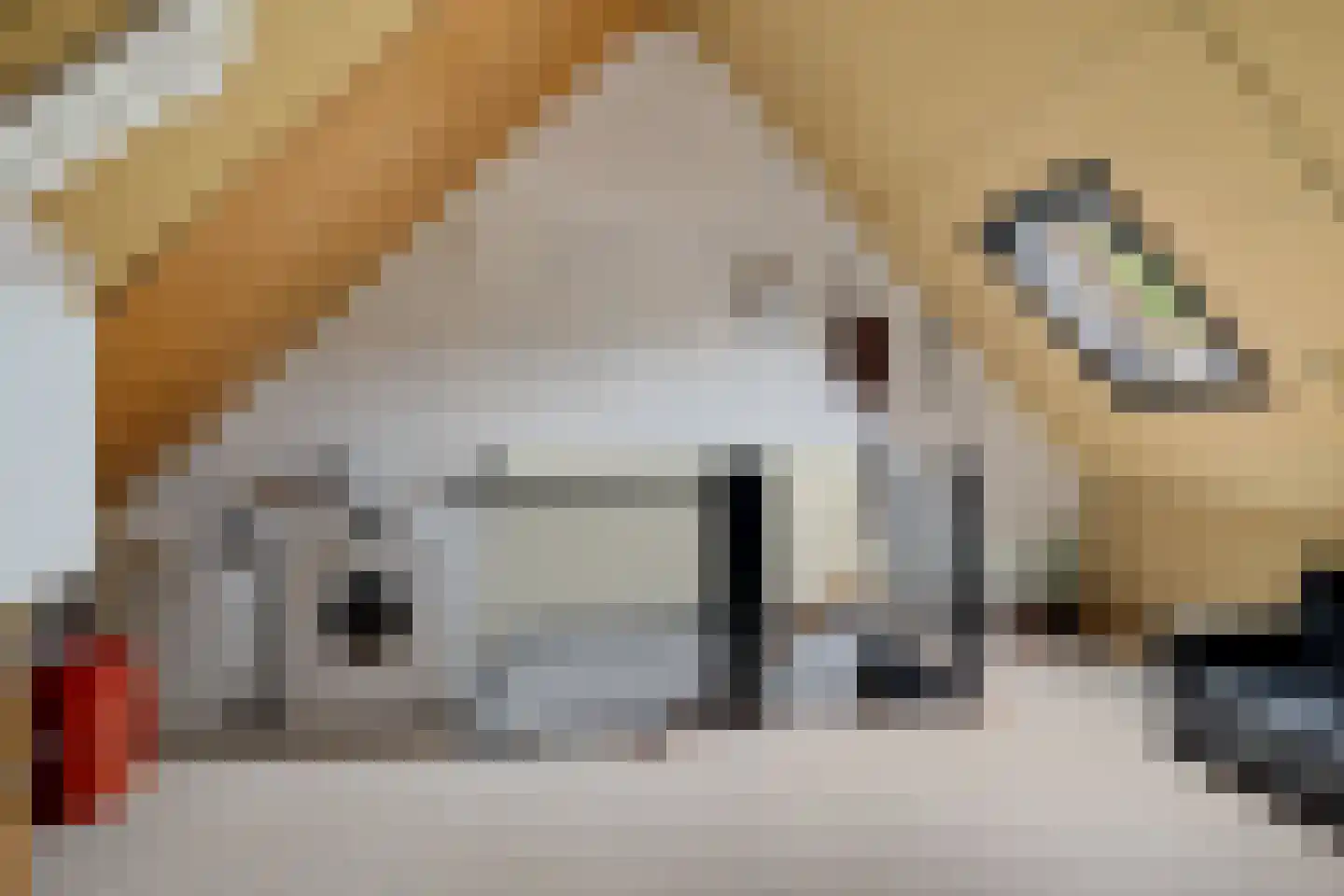 Wilgenbeemd 90 Assen thumbnail 27