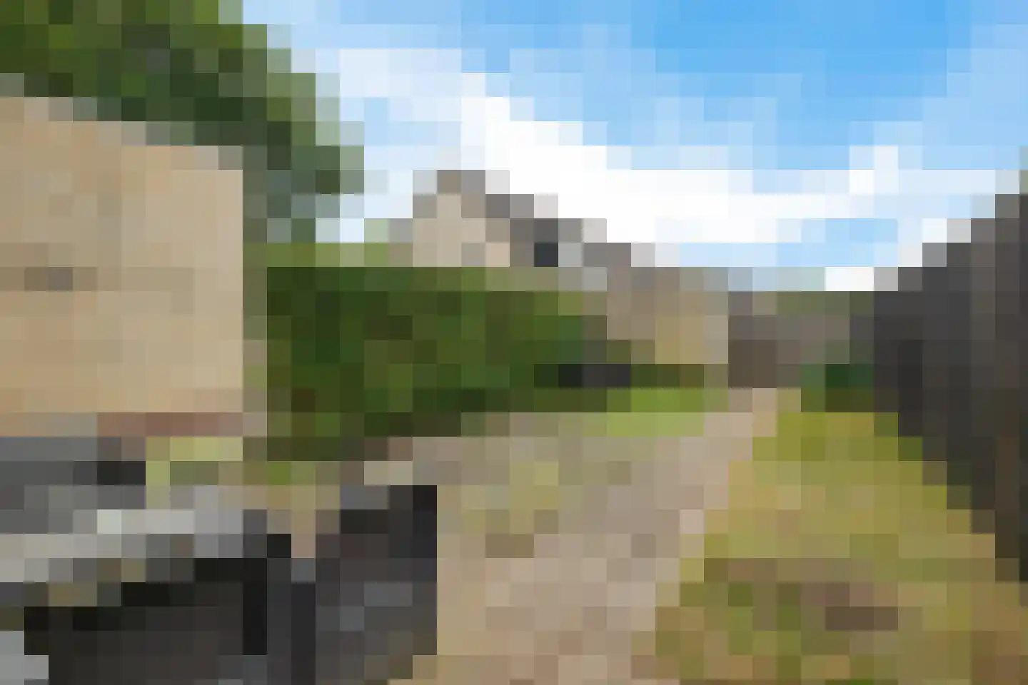 Wilgenbeemd 90 Assen thumbnail 28