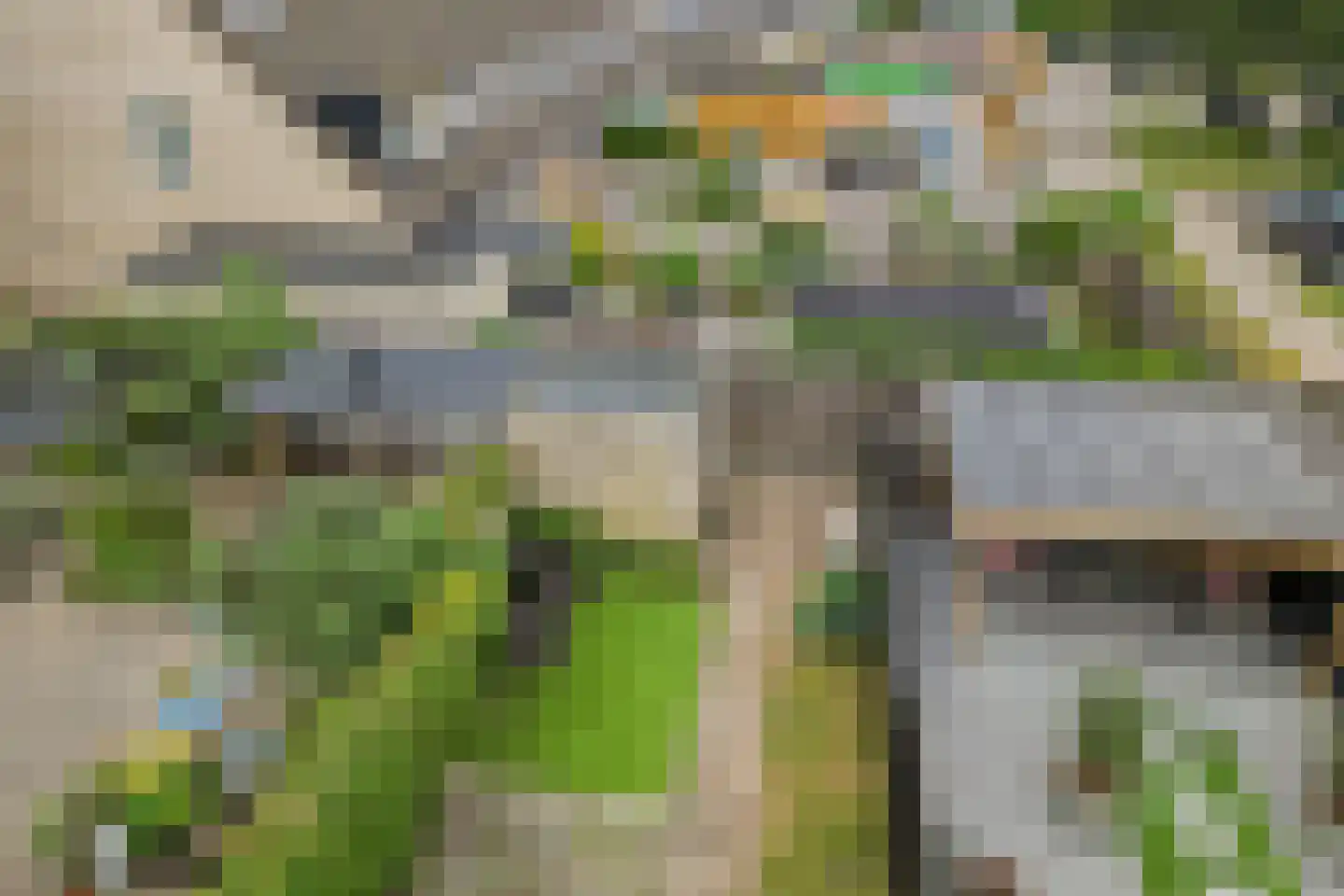 Wilgenbeemd 90 Assen thumbnail 5