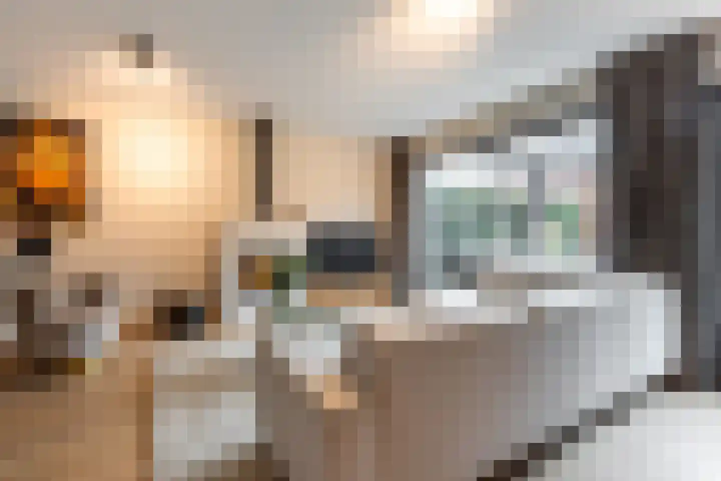 Wilgenblad 10 Oostvoorne thumbnail 11