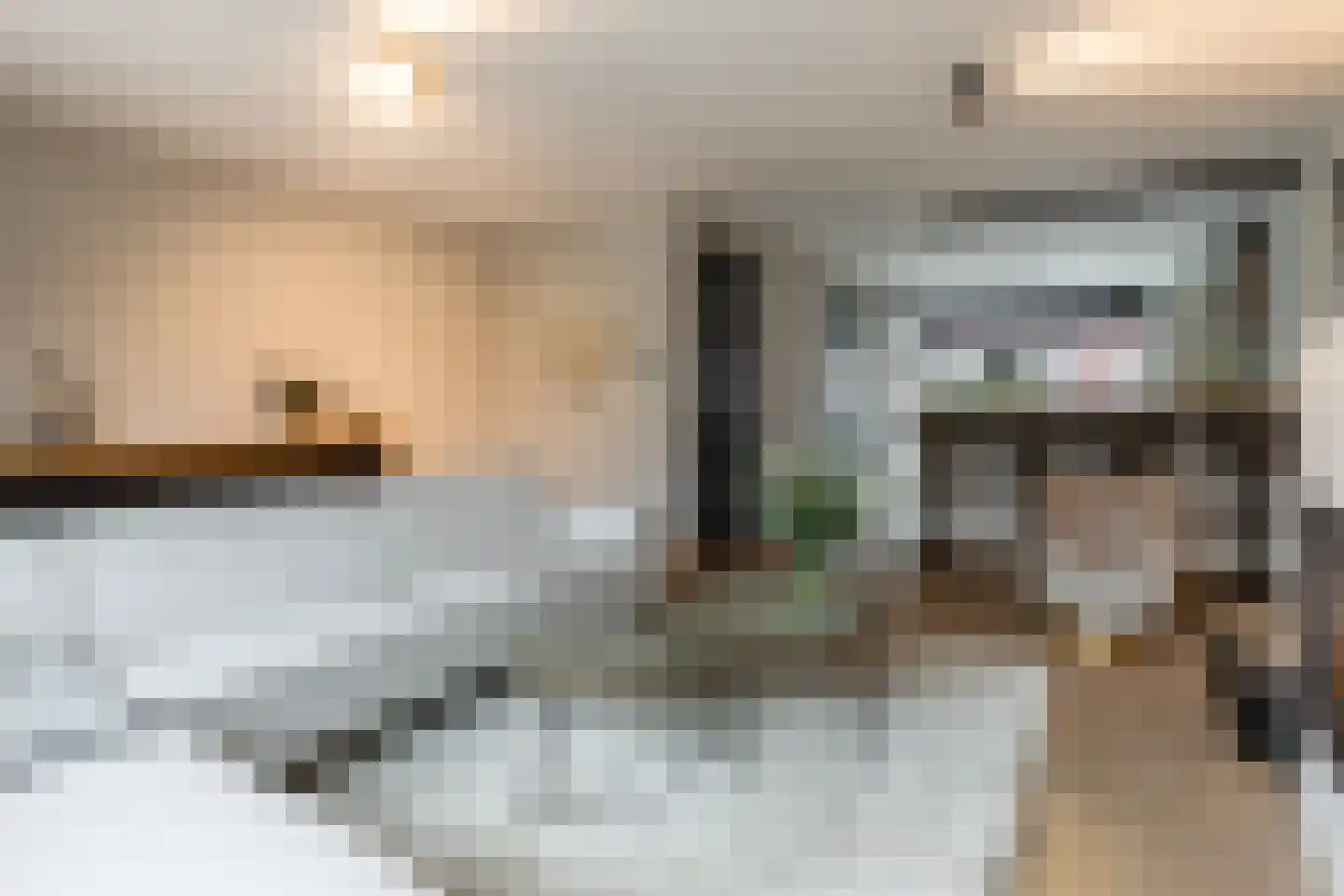 Wilgenblad 10 Oostvoorne thumbnail 12