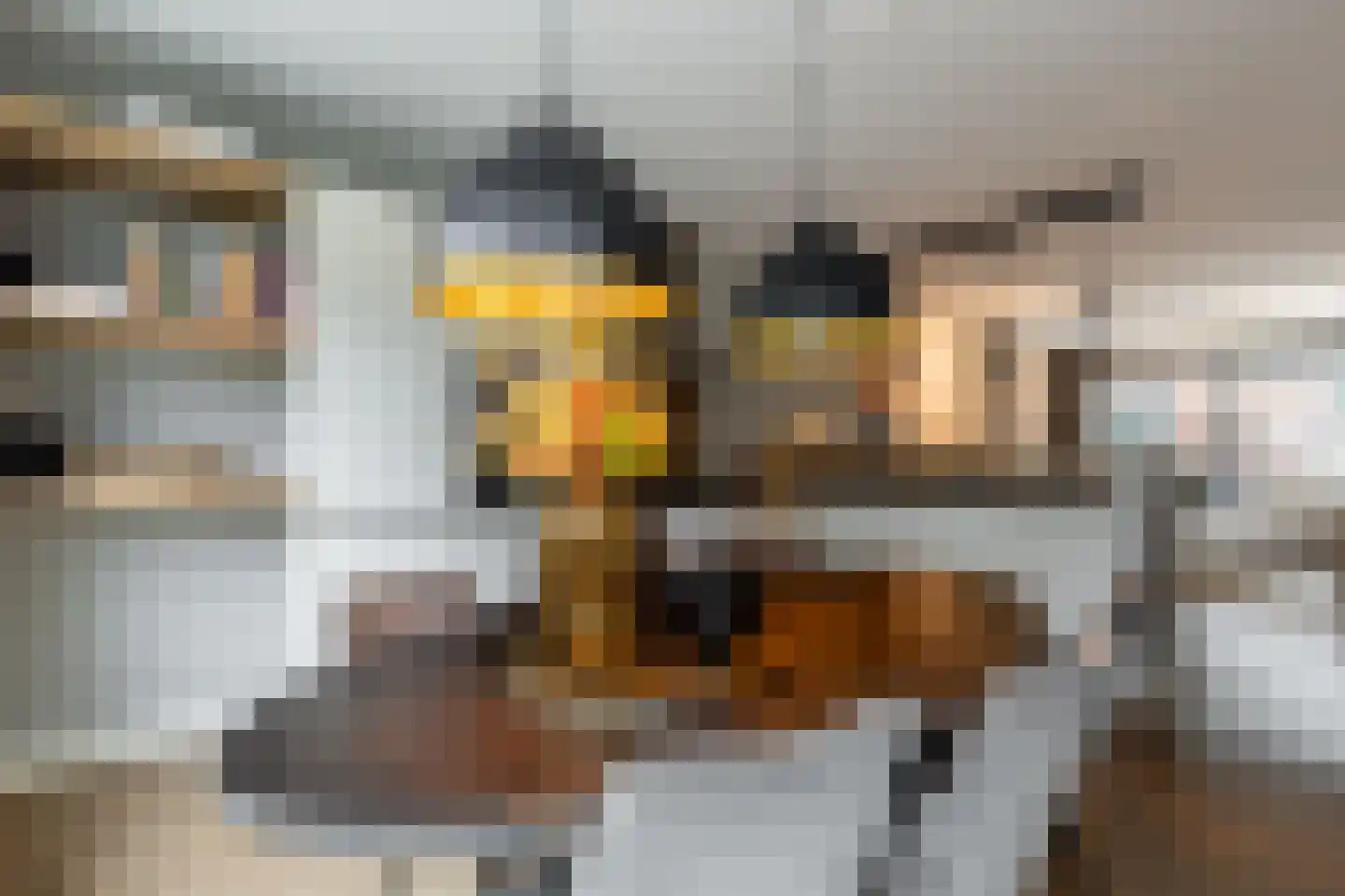 Wilgenblad 10 Oostvoorne thumbnail 16