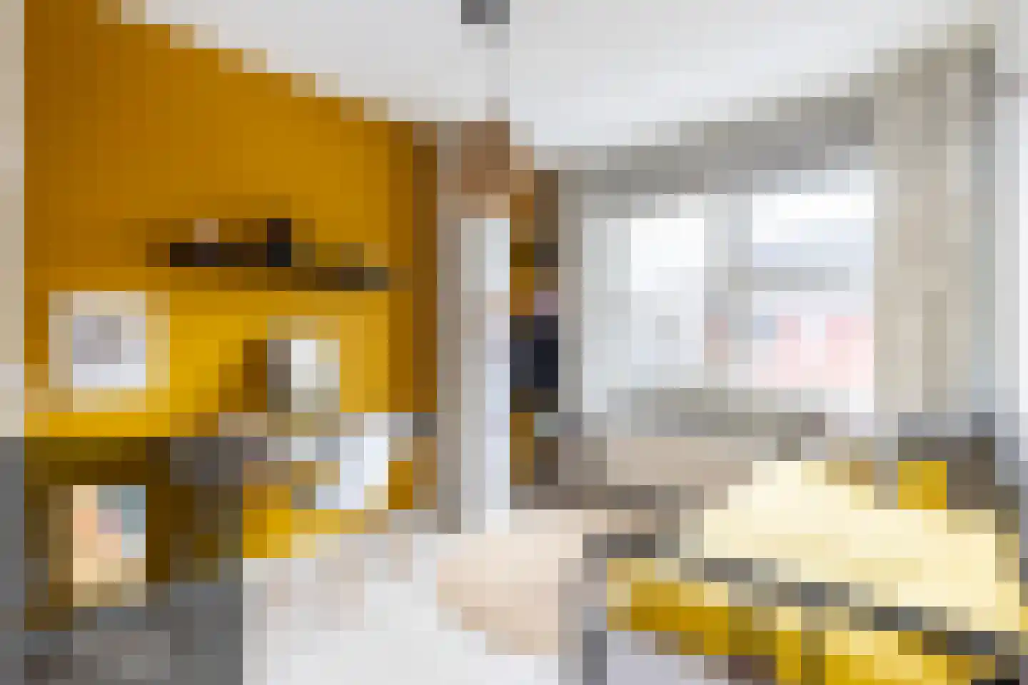 Wilgenblad 10 Oostvoorne thumbnail 21