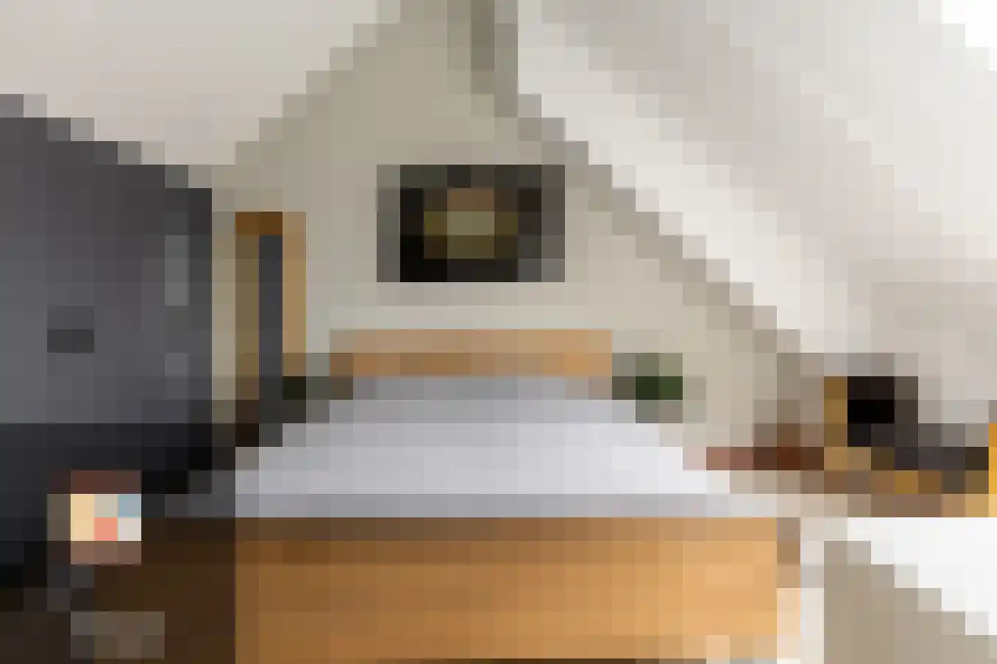 Wilgenblad 10 Oostvoorne thumbnail 26
