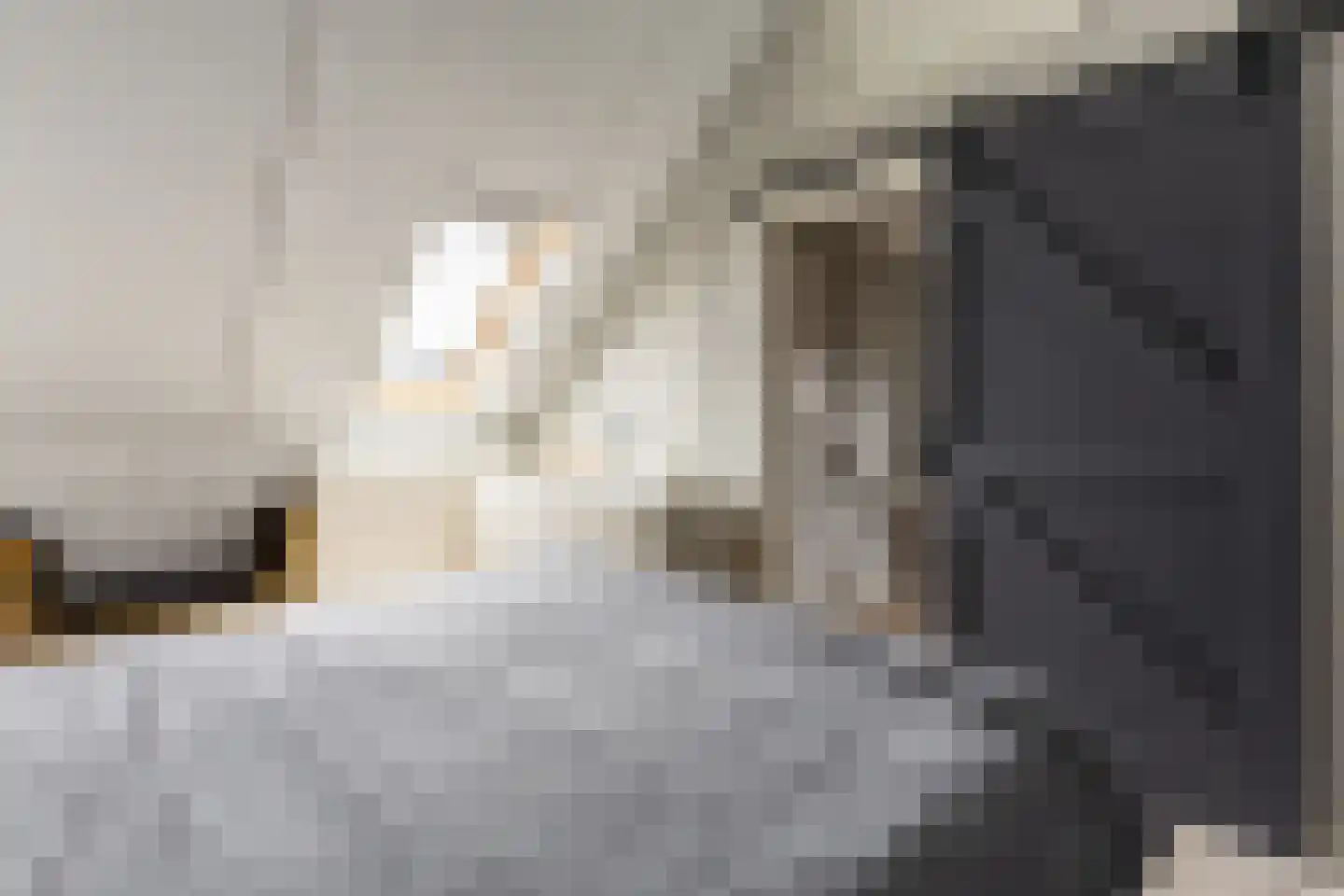 Wilgenblad 10 Oostvoorne thumbnail 27