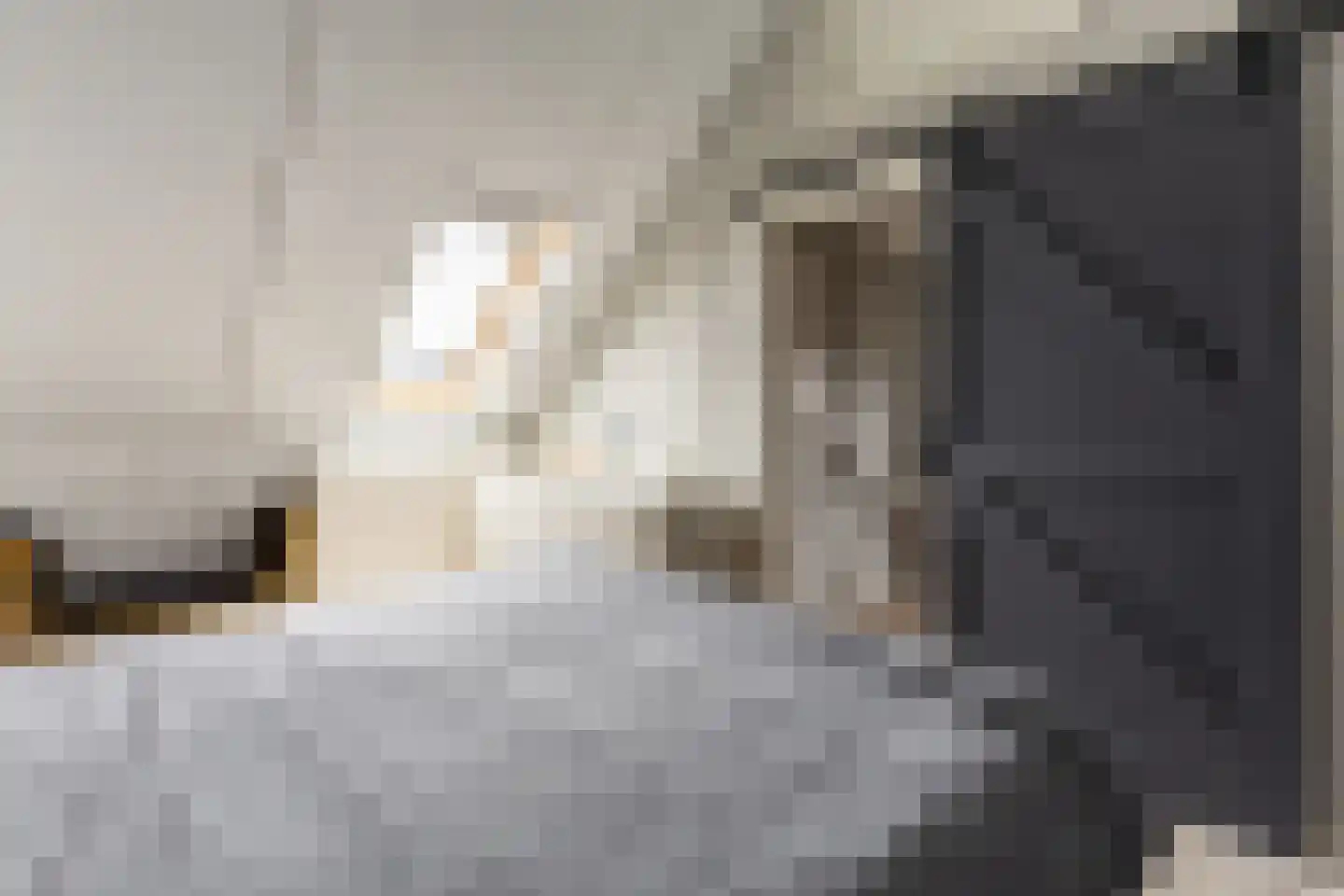 Wilgenblad 10 Oostvoorne thumbnail 27