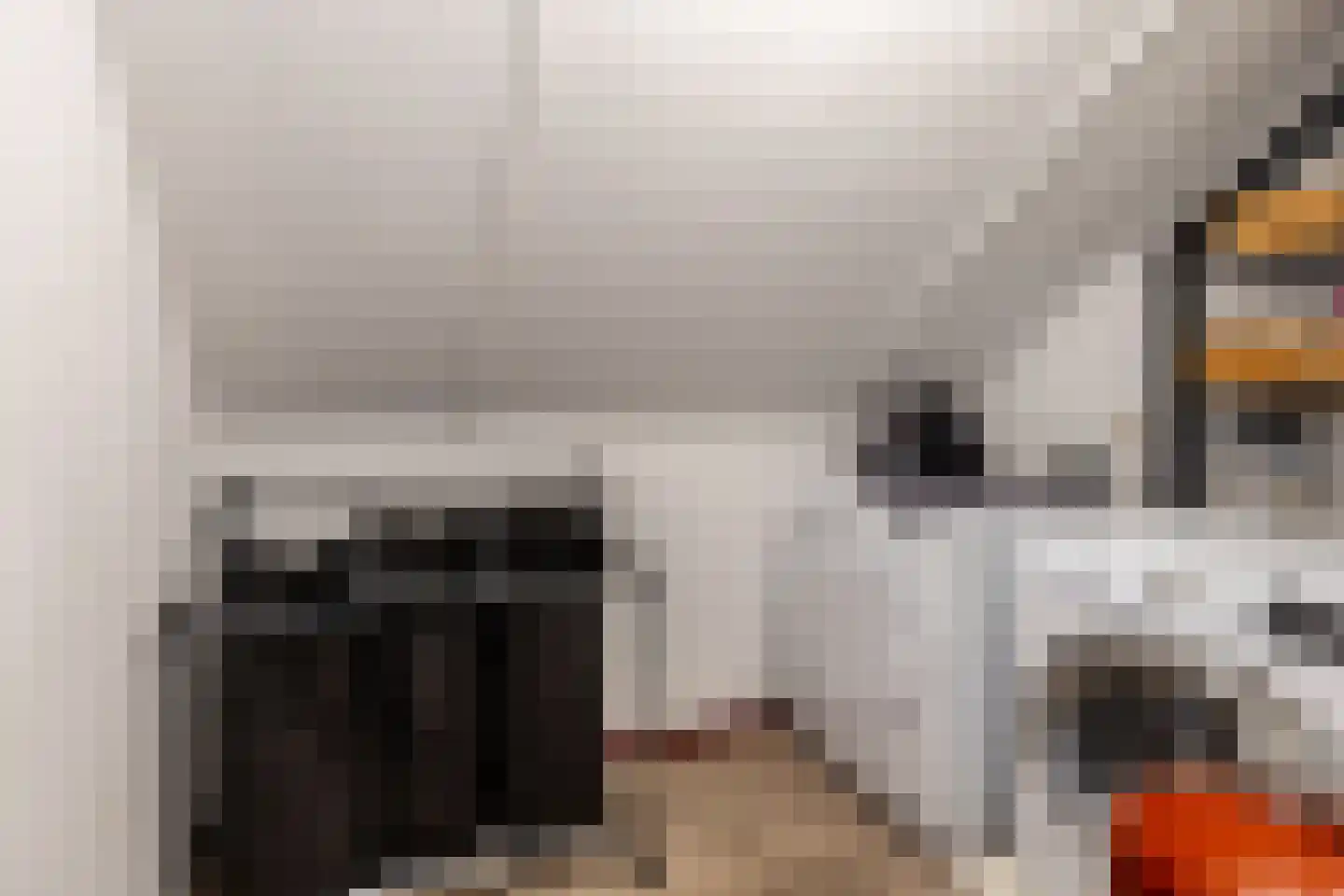 Wilgenblad 10 Oostvoorne thumbnail 28