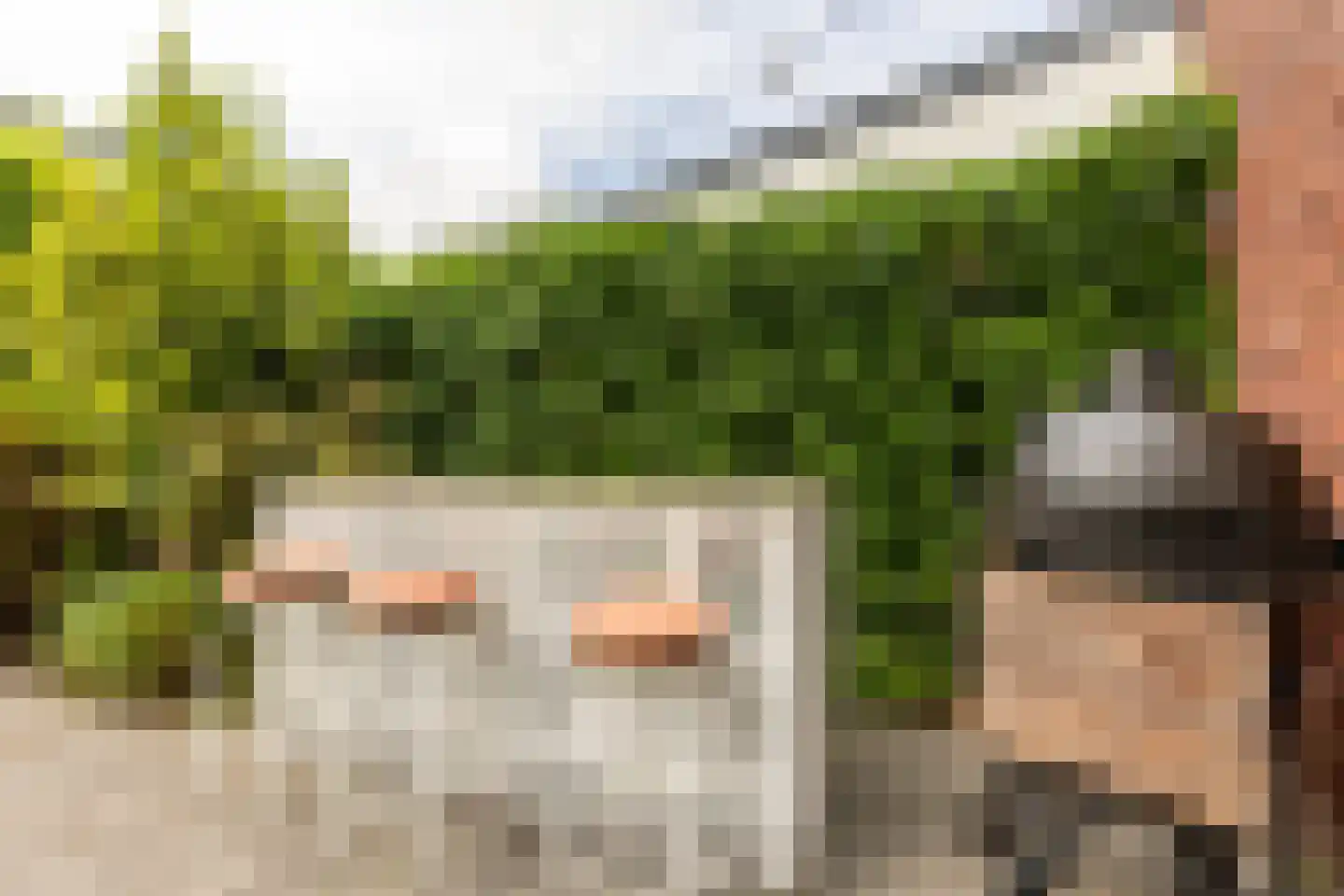 Wilgenblad 10 Oostvoorne thumbnail 29